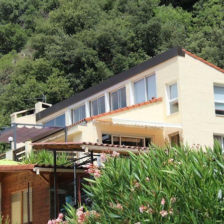 Mas Solar D'En Malcion Villa Amelie-les-Bains-Palalda Exterior photo