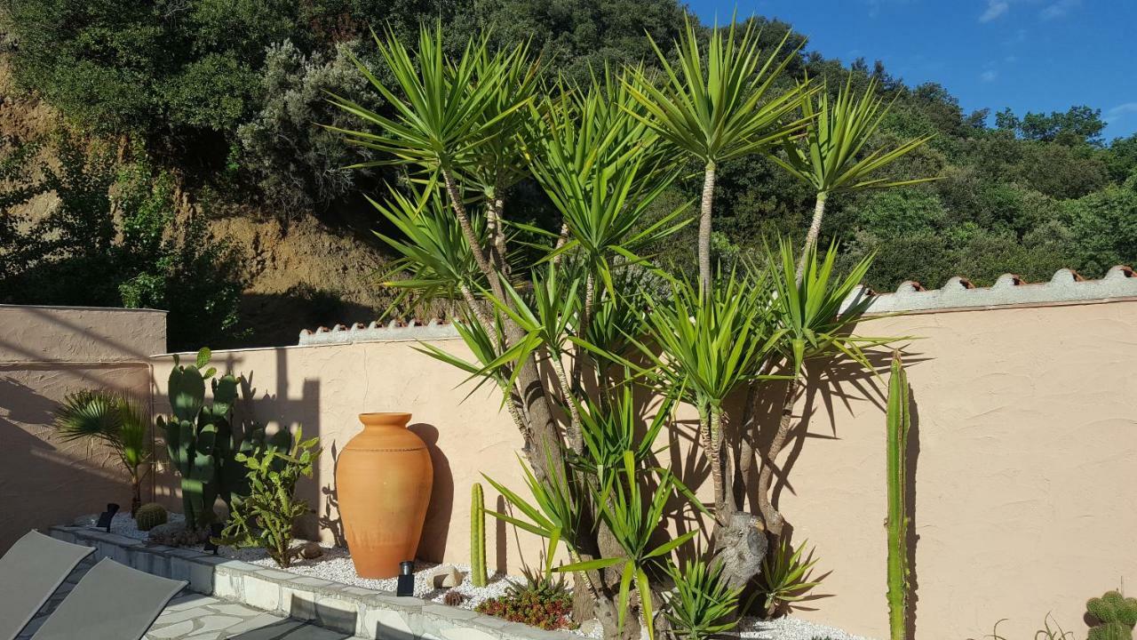 Mas Solar D'En Malcion Villa Amelie-les-Bains-Palalda Exterior photo